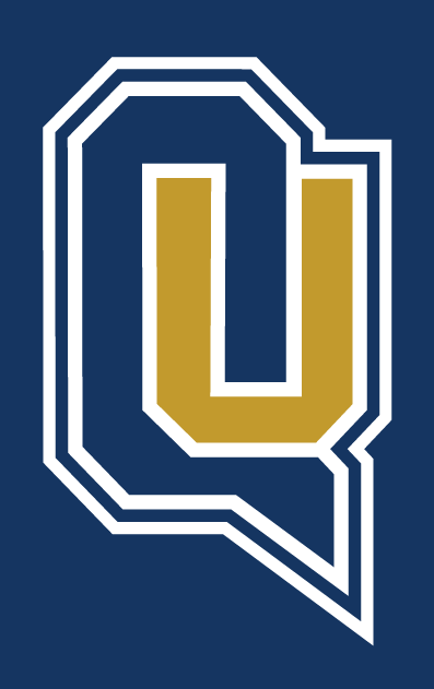Quinnipiac Bobcats 2002-Pres Alternate Logo v5 DIY iron on transfer (heat transfer)